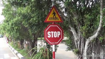 Dừng xe nhường đường cho người đi bộ